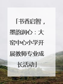 书香启智，墨韵润心：大窑中心小学开展教师专业成长活动